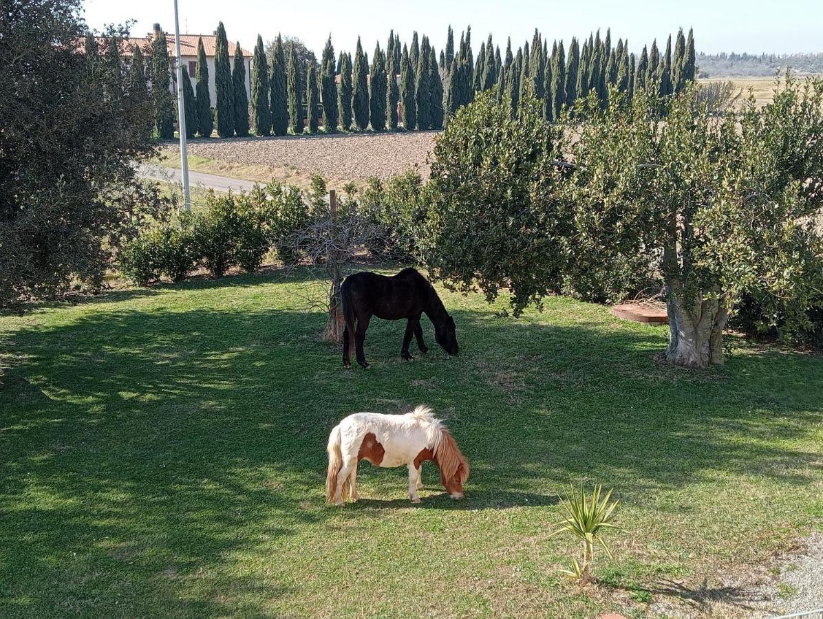 מנצ'יאנו Agriturismo Lungo Albegna מראה חיצוני תמונה