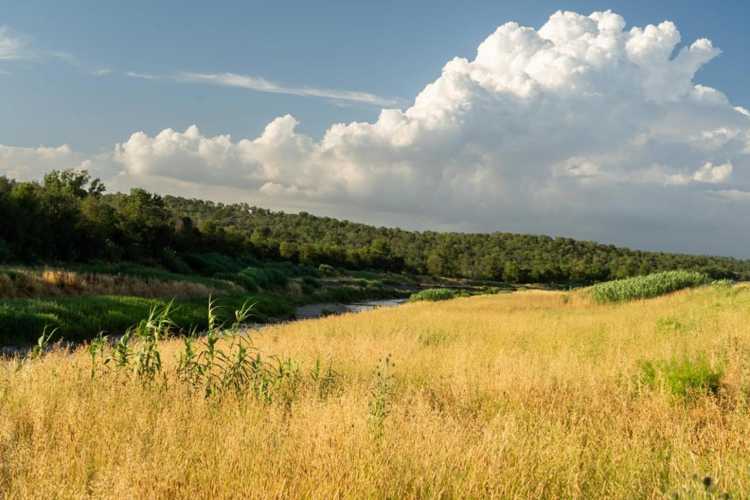 מנצ'יאנו Agriturismo Lungo Albegna מראה חיצוני תמונה